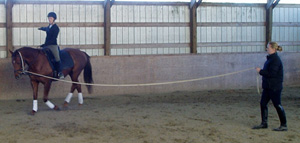 Mounted Lunge Lesson